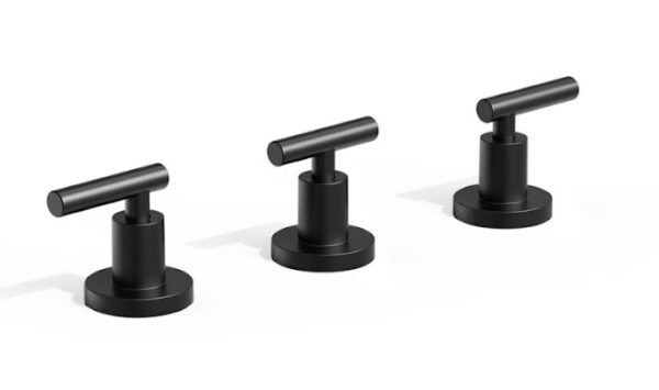 BIDET C/TRASNFERENCIA SUN LEVER